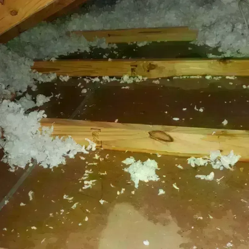 Attic Water Damage in Brooklyn, IN